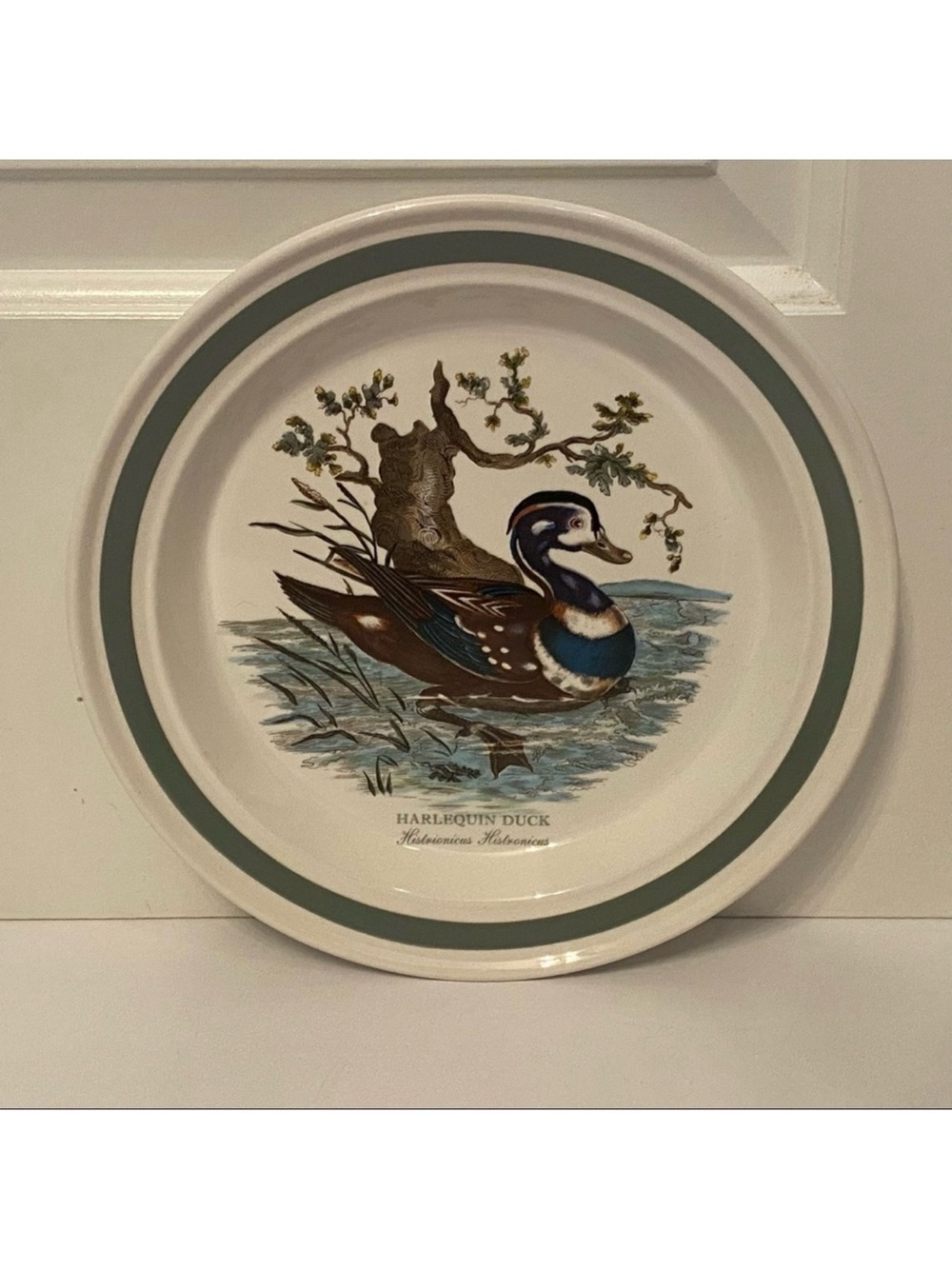 PORTMEIRION BIRDS OF BRITAIN DINNER PLATE HARLEQUIN DUCK WHITE GREEN 10.5” HOME
